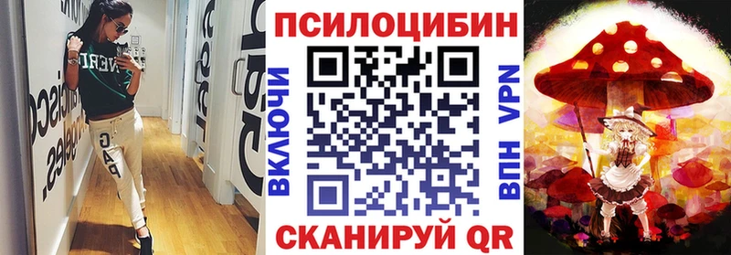 mega зеркало  Вологда  Псилоцибиновые грибы MAGIC MUSHROOMS 
