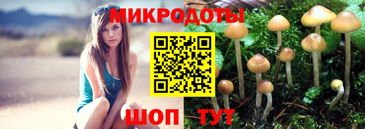 купить наркоту  Вход с VPN  Вологда  Псилоцибиновые грибы Cubensis 